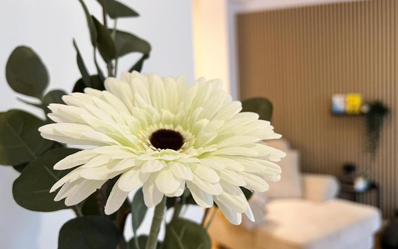 Modernes Studio Appartement Mit Leseecke Gernsbach Buitenkant foto